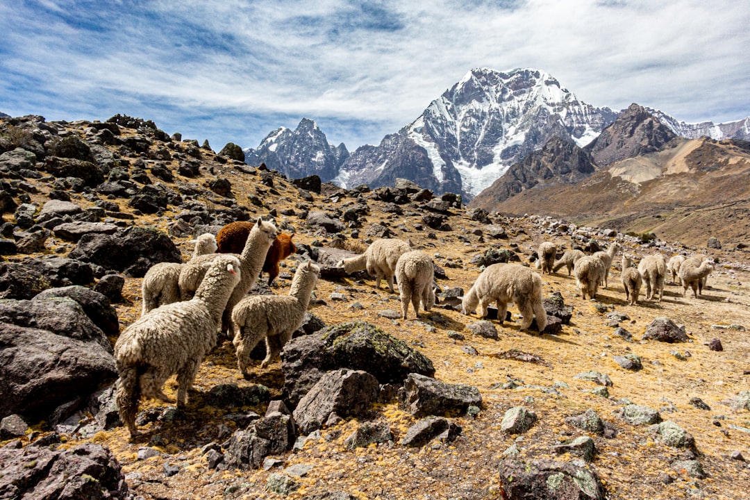 Andes mountains Peru (Photo via Unsplash)
