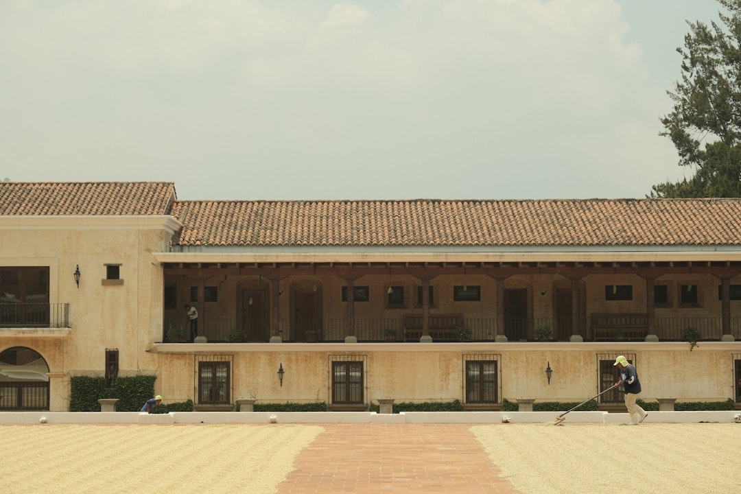 Antigua coffee plantation (Photo via Unsplash)