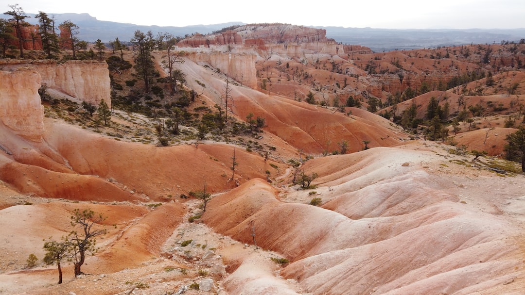 Bryce Canyon hoodoos (Photo via Unsplash)