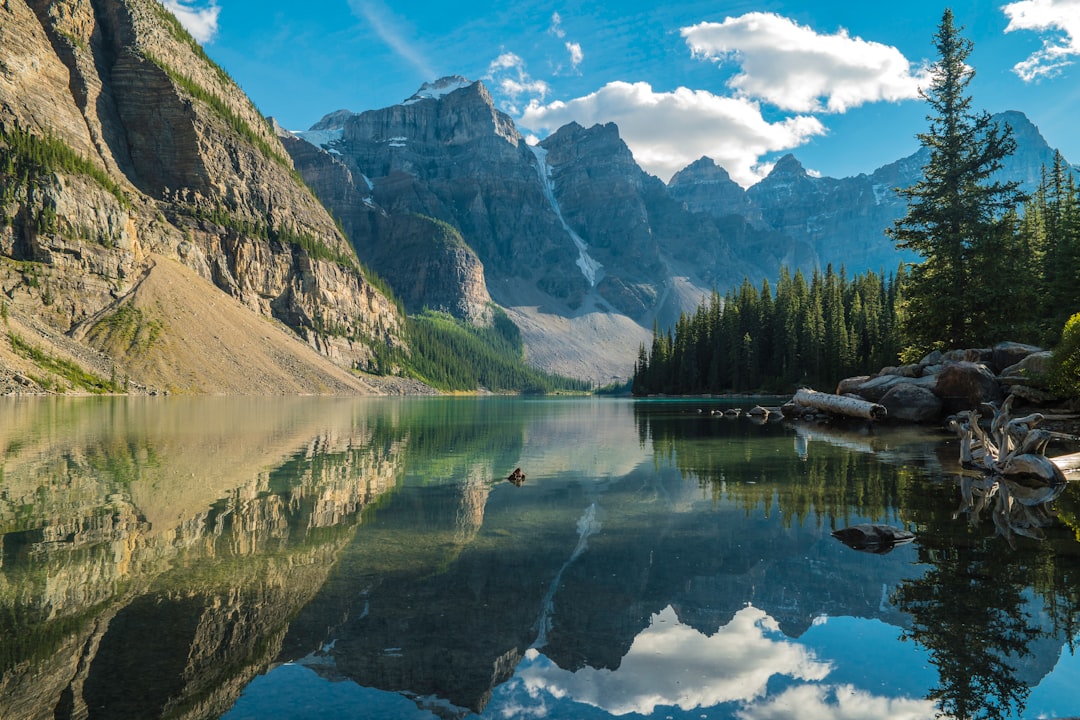 Canadian Rockies wildlife (Photo via Unsplash)