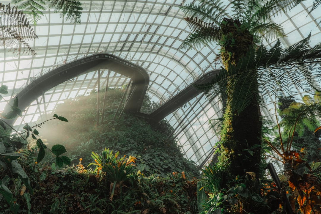 Cloud Forest Singapore (Photo via Unsplash)