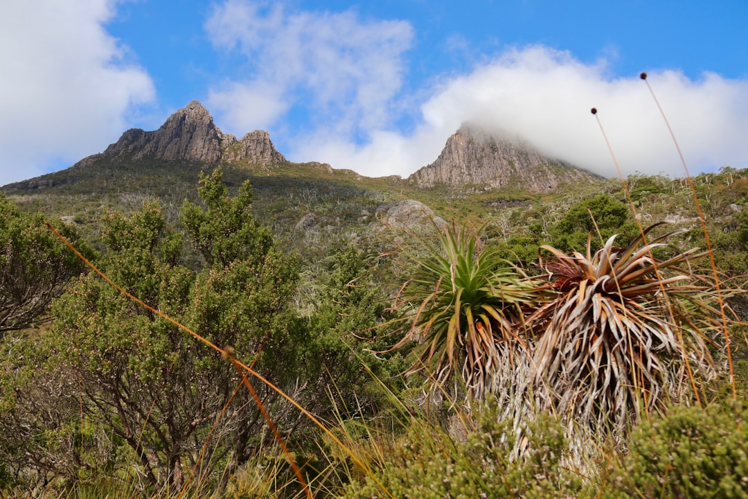 Cradle Mountain hiking (Photo via Unsplash)