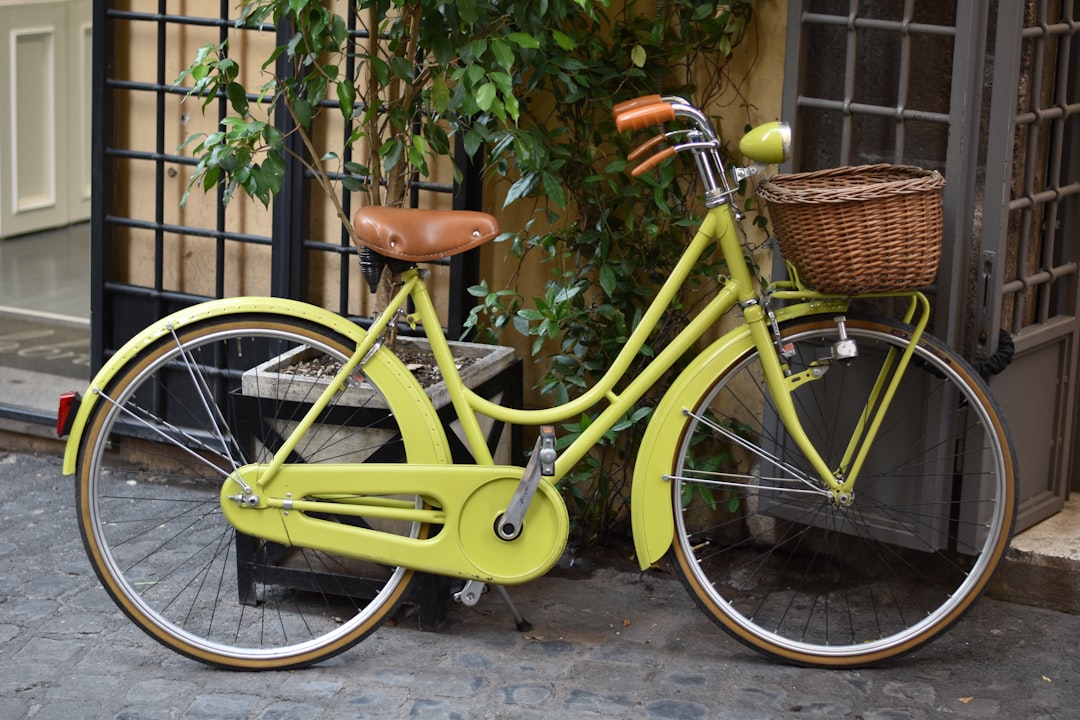Dutch bike (Photo via Unsplash)