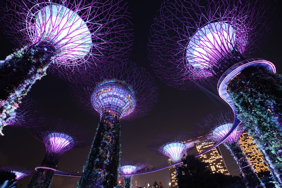 Gardens by the Bay Supertrees (Photo via Unsplash)