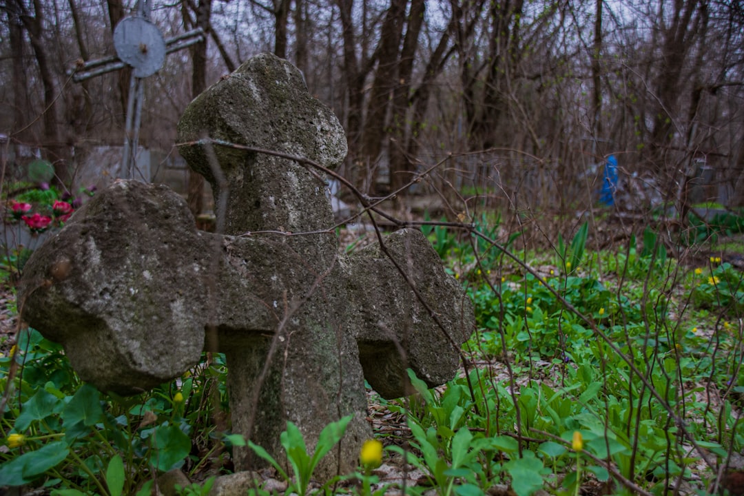 Green-wood Cemetery (Photo via Unsplash)