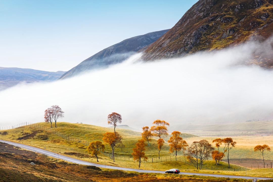 Highlands misty road (Photo via Unsplash)