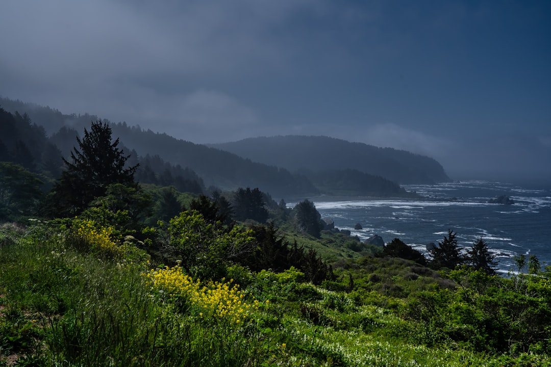 Highway 1 scenic (Photo via Unsplash)