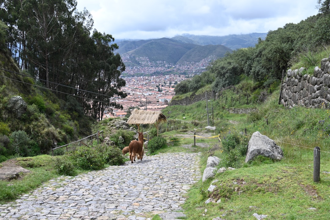 Inca Trail path (Photo via Unsplash)
