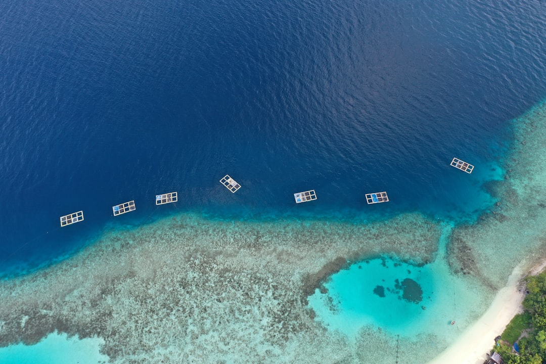 Maldives coral reef (Photo via Unsplash)
