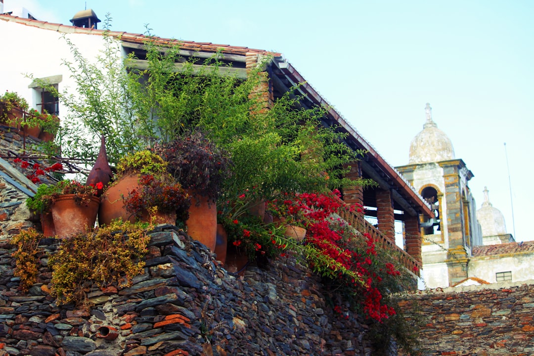 Monsaraz village (Photo via Unsplash)