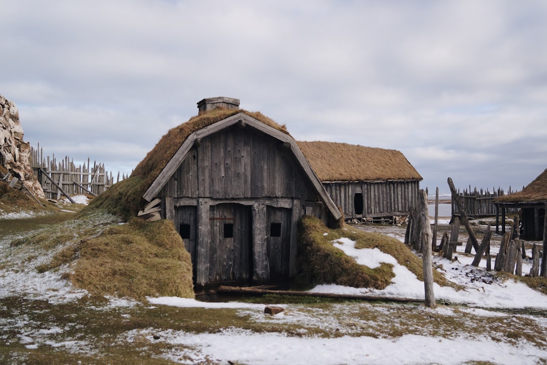 Njardarheimr Viking village (Photo via Unsplash)
