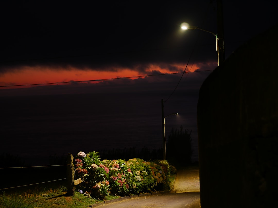 Portugal coastal road (Photo via Unsplash)