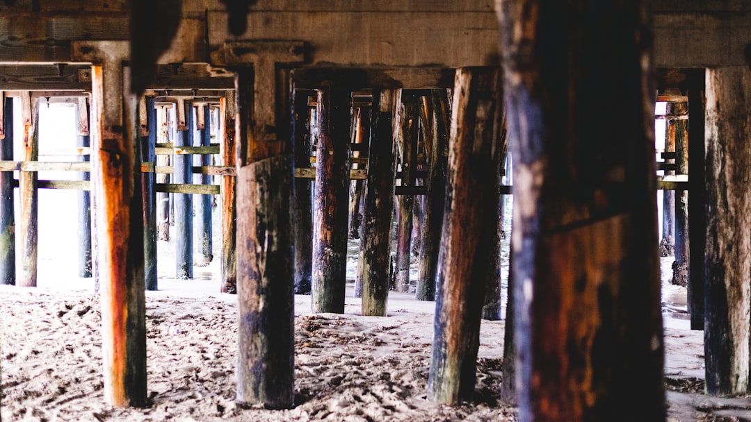 Santa Cruz boardwalk (Photo via Unsplash)