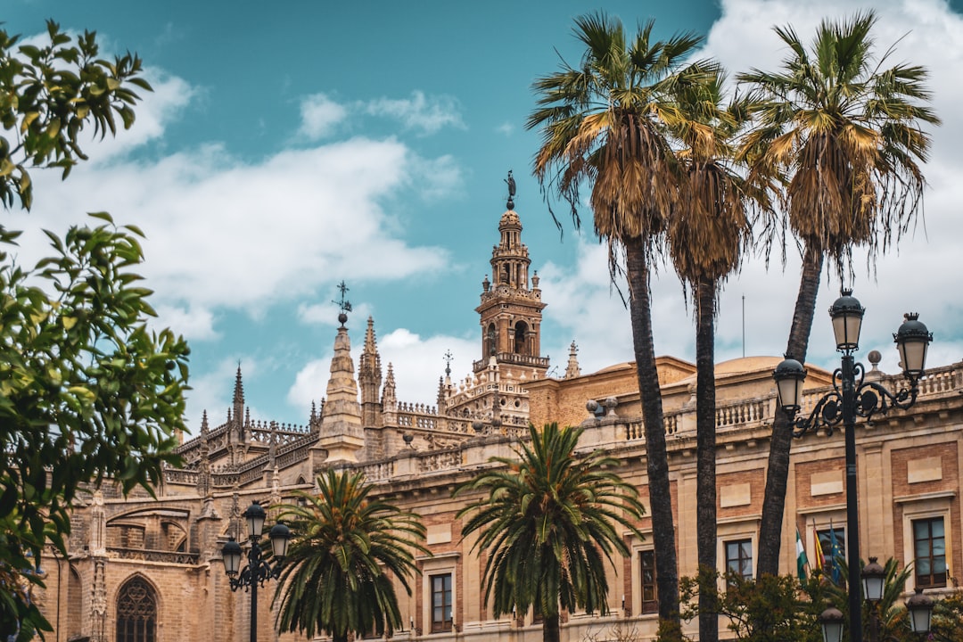 Seville tapas bar (Photo via Unsplash)