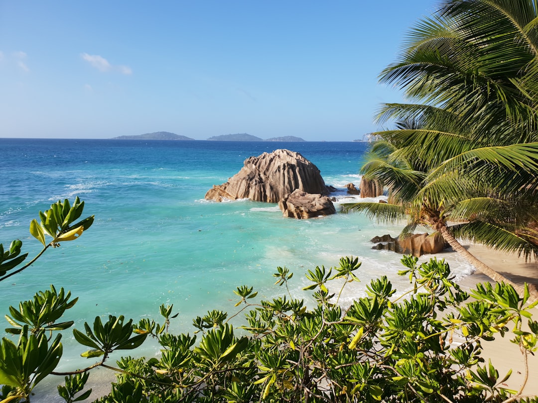 Seychelles Creole cuisine (Photo via Unsplash)