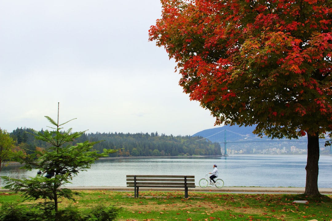 Stanley Park Vancouver (Photo via Unsplash)