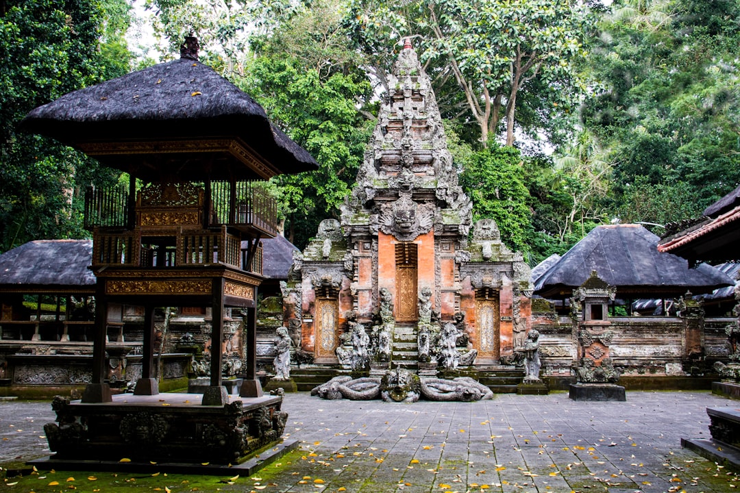 Ubud monkey forest (Photo via Unsplash)