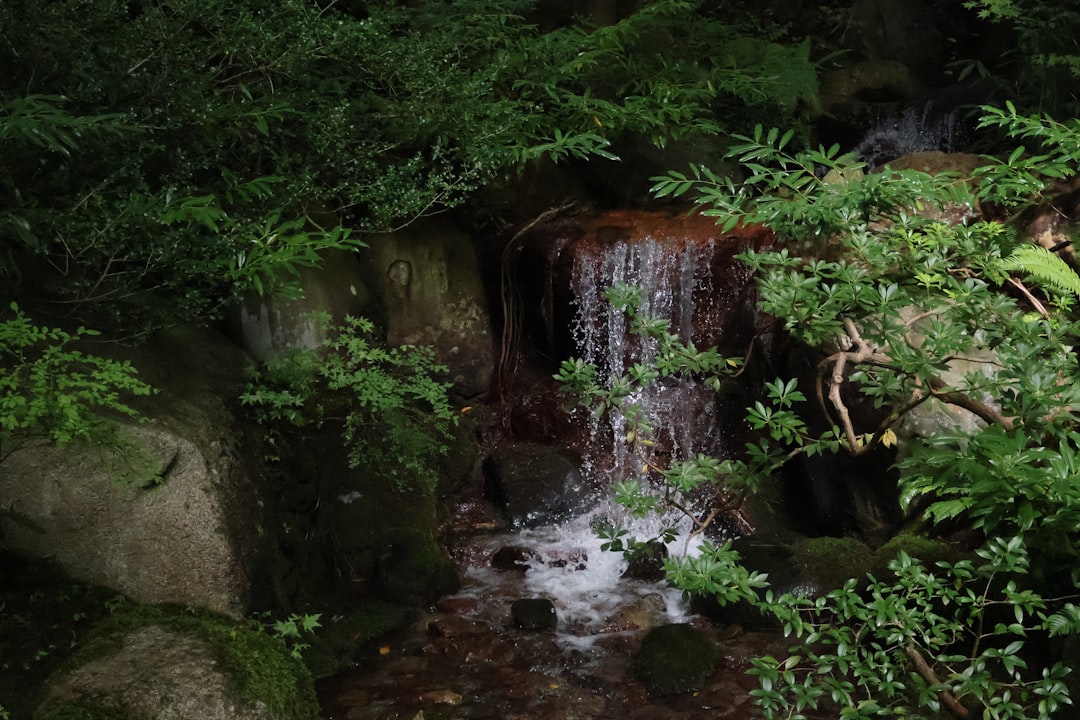 Vancouver Japanese garden (Photo via Unsplash)