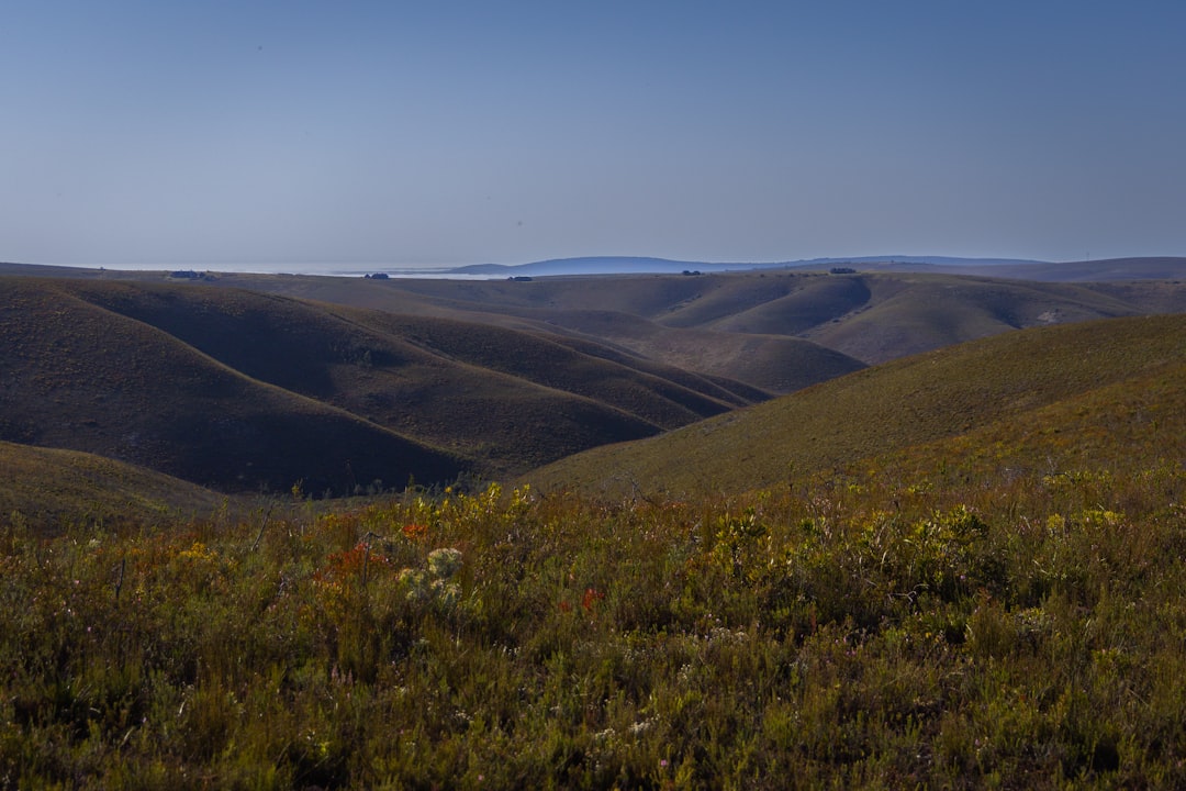 South Africa safari landscape