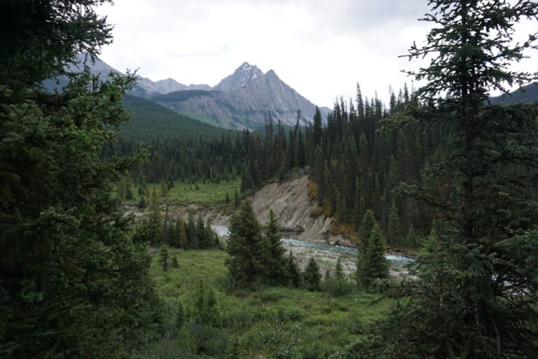 Banff National Park landscape