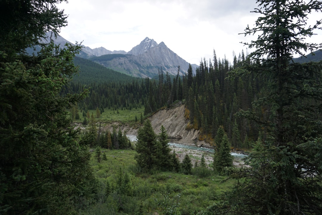 Banff National Park landscape