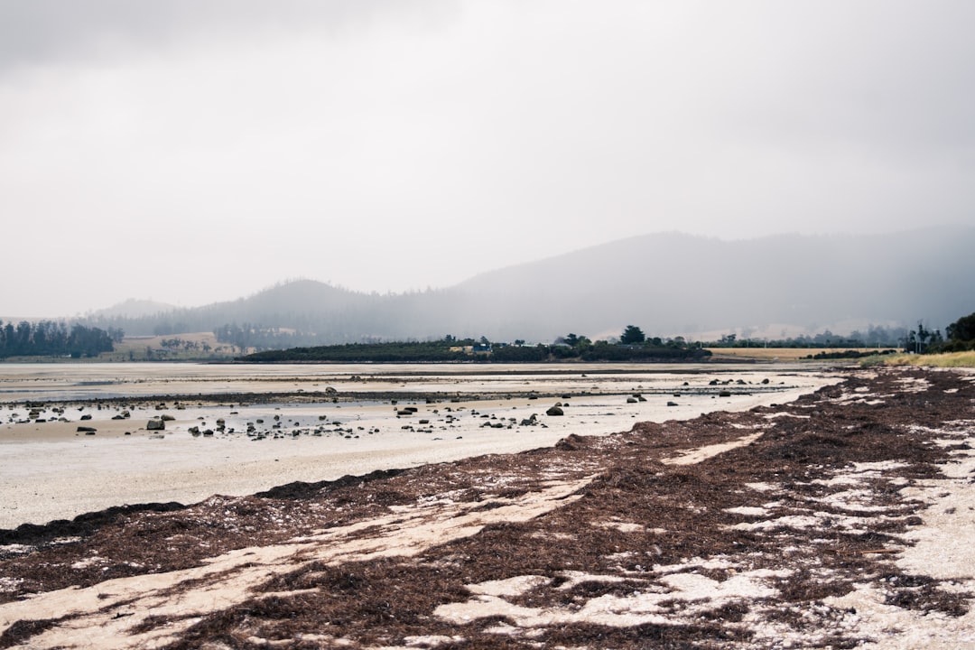 Tasmania landscape