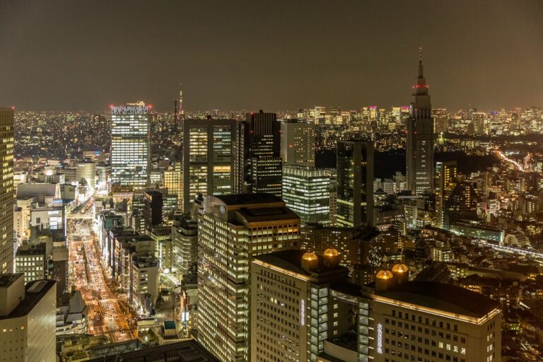 Tokyo night skyline