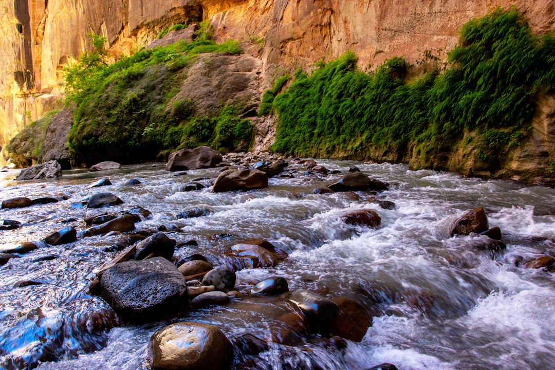 Zion National Park Narrows (Photo via Unsplash)